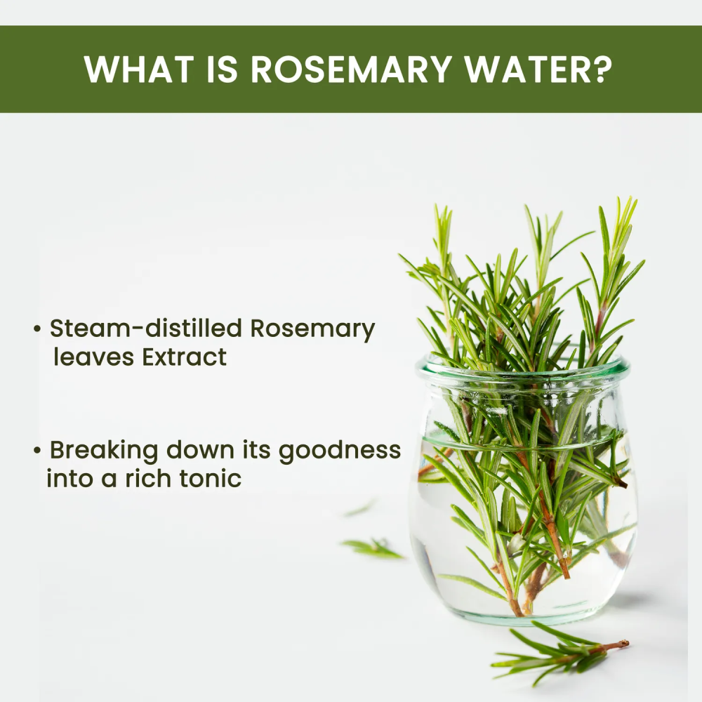 Alps Goodness Rosemary Water | Hair Growth Expert | Rosemary Water For Hair | Hair Sprey for Regrowth 32Ml Pack Of-3