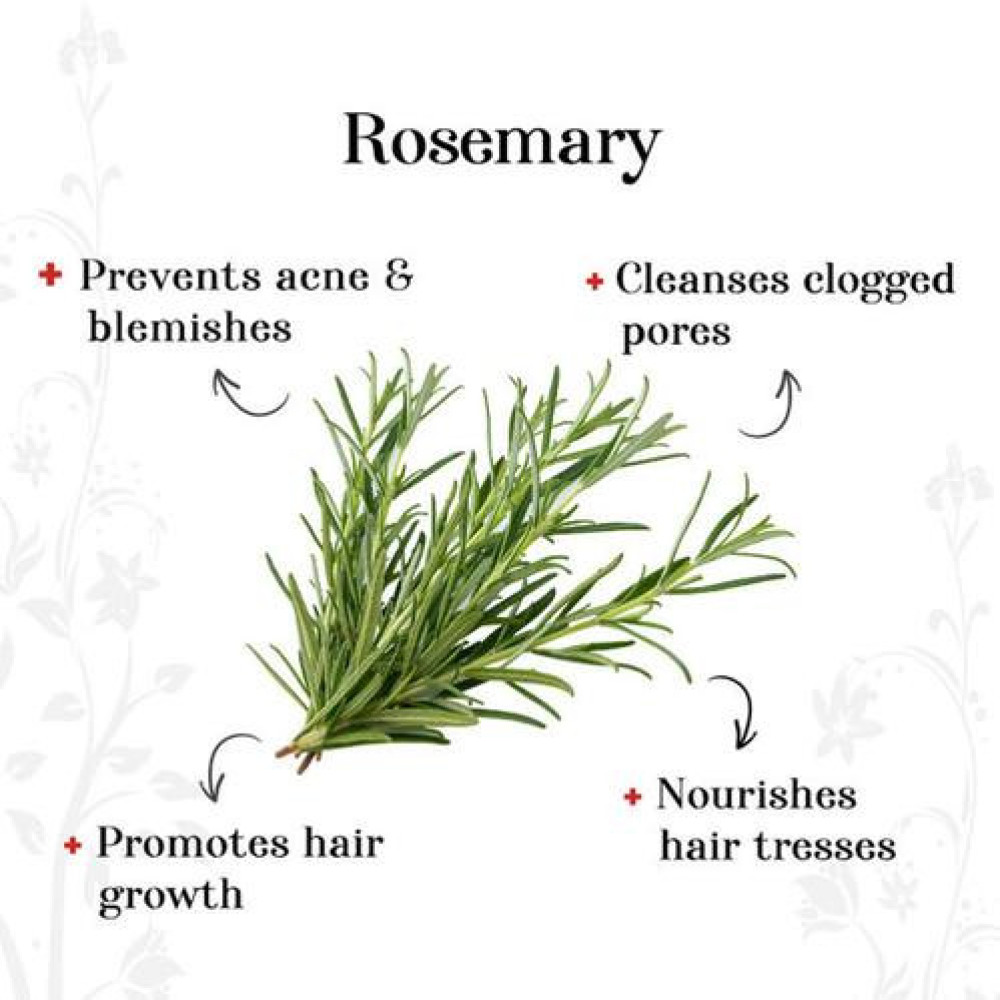 Alps Goodness Rosemary Essential Oil (30 ml), Stimulates Hair Growth & Helps in Skin Toning - For Hair & Skin - Cruelty Free