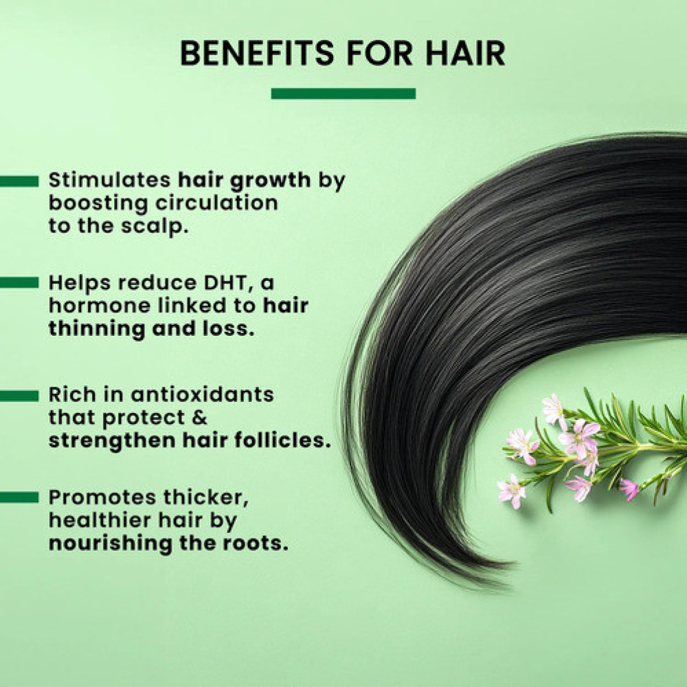 Alps Goodness Rosemary Essential Oil (10 ml), Stimulates Hair Growth & Helps in Skin Toning - For Hair & Skin - Cruelty Free