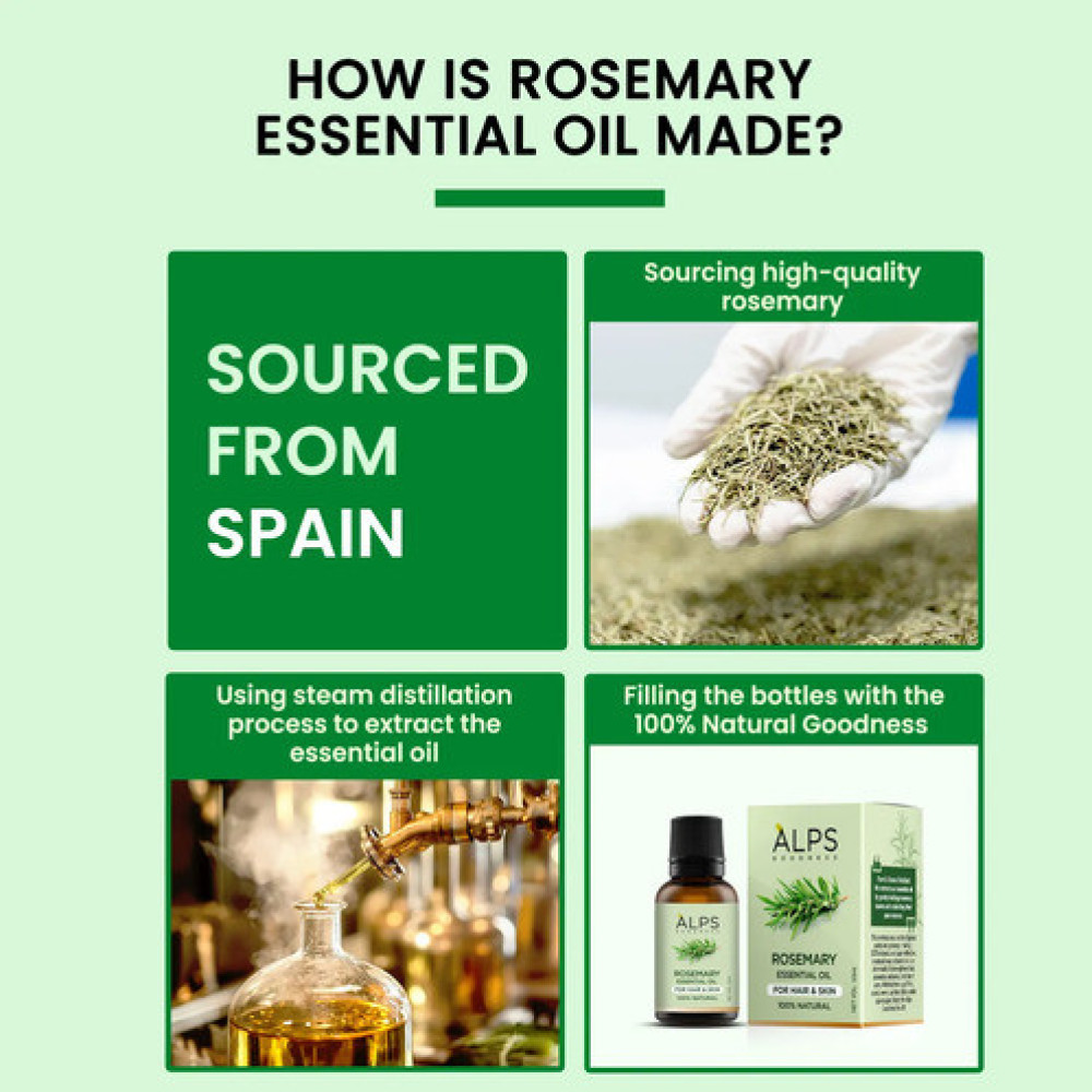Alps Goodness Rosemary Essential Oil (10 ml), Stimulates Hair Growth & Helps in Skin Toning - For Hair & Skin - Cruelty Free
